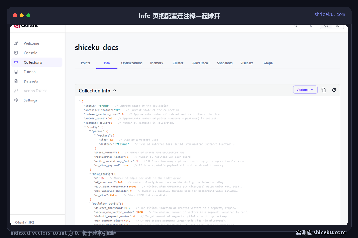 qdrant：核对 Info 页配置的实测截图