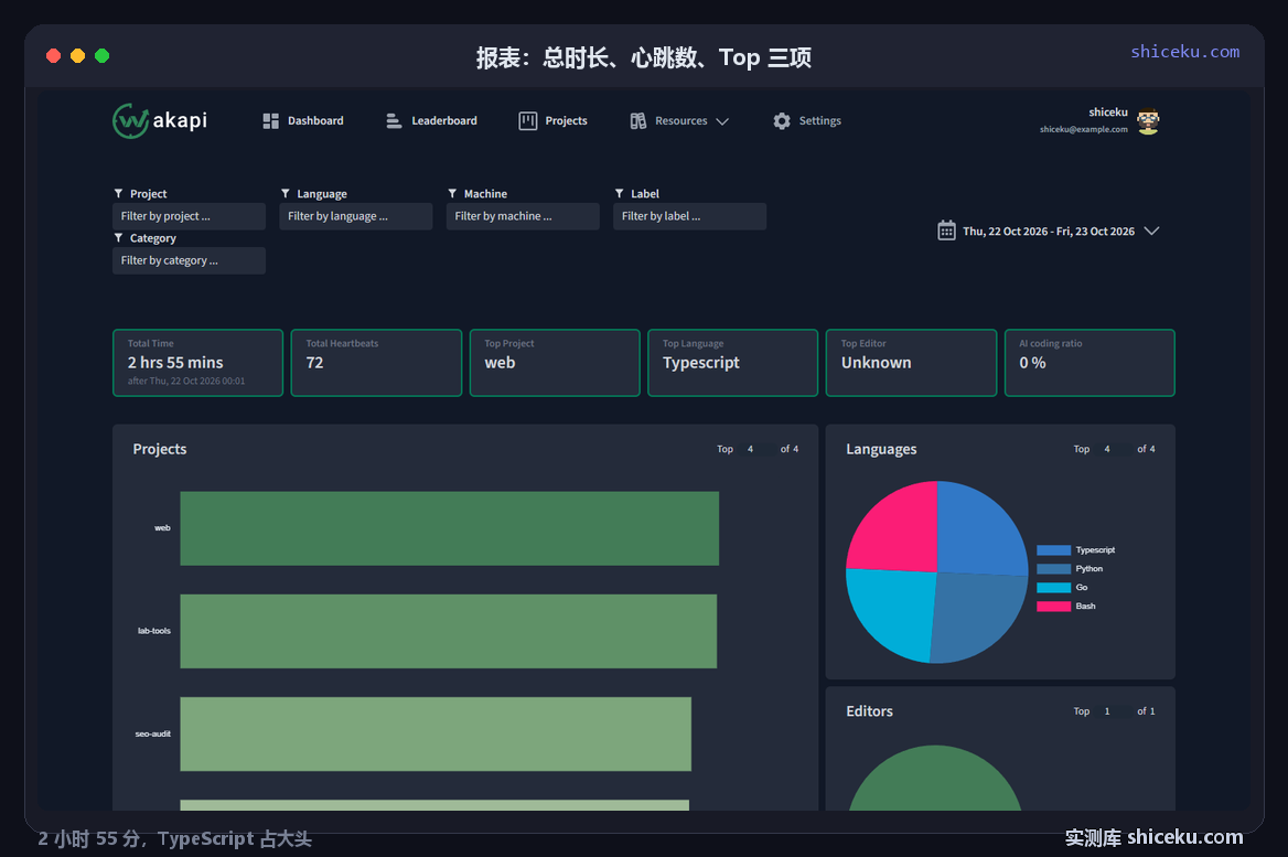 wakapi：看报表的实测截图